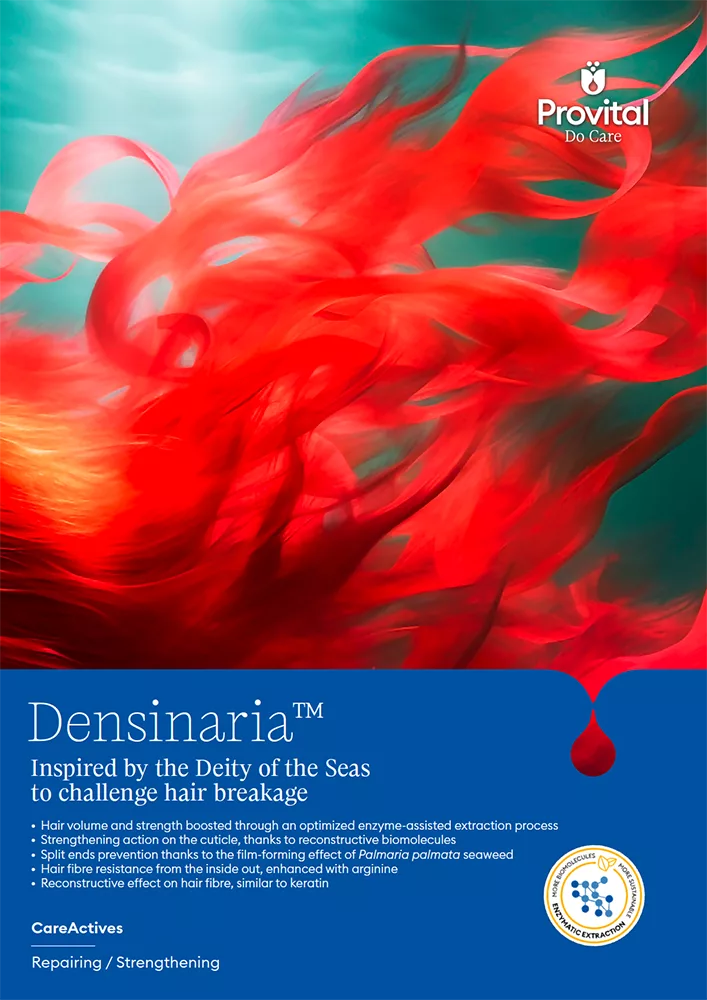 Brochure imagen densinaria web