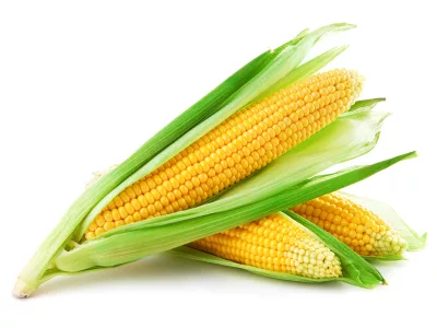 corn_iStock_000018097599XSmall