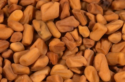 fenugreek_iStock_000000745126XSmall