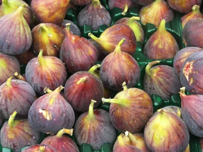 fig_iStock_000009800930XSmall