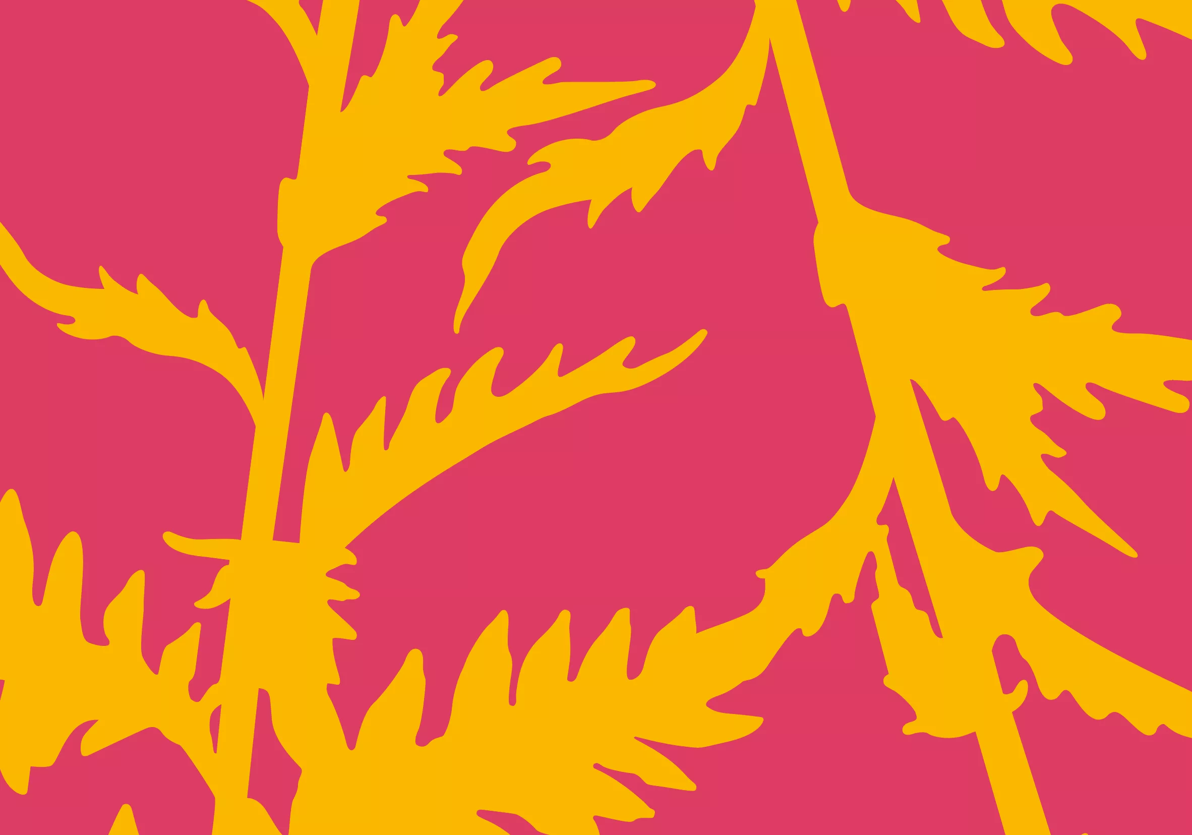 fondo fun web