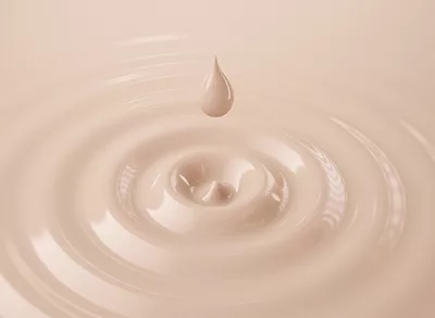 foundation