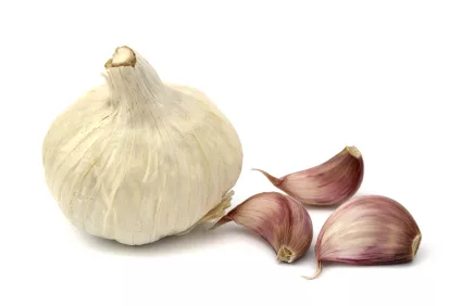 garlic_iStock_000004571821XSmall