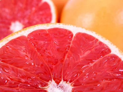 GRAPEFRUIT EXTRACT H.GL. - M.S.