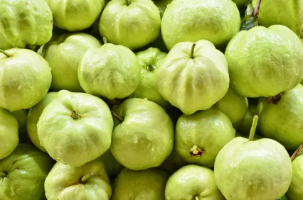 guava_iStock_000020796430XSmall