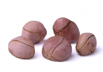kolanut