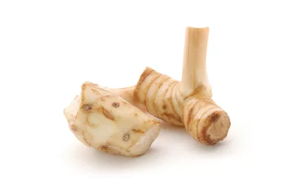 lessergalangal_iStock_000001772813XSmall