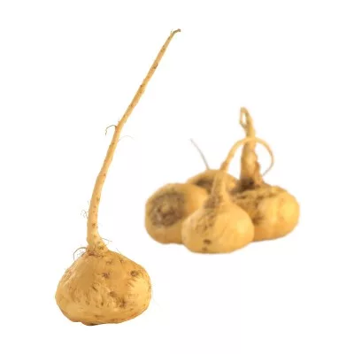 maca_9462721_s