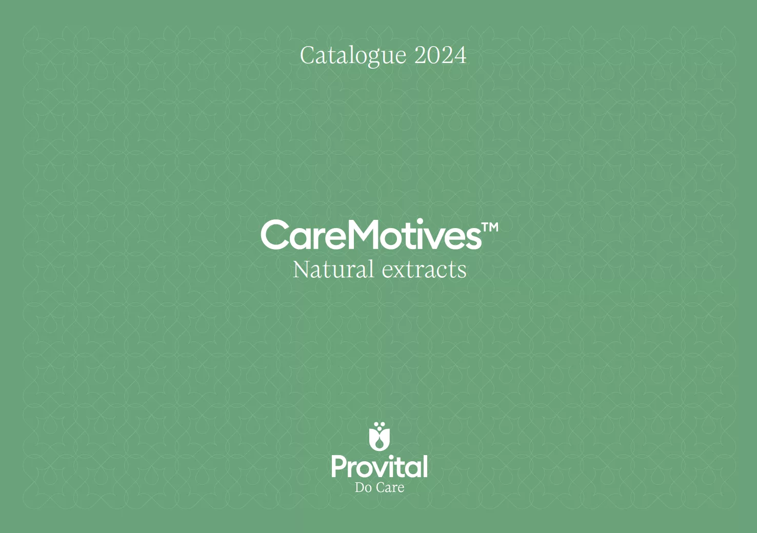 portada catalogo caremotives 2024