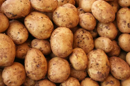 potato_iStock_000009987464XSmall