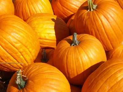 pumpkin_iStock_000000963872XSmall