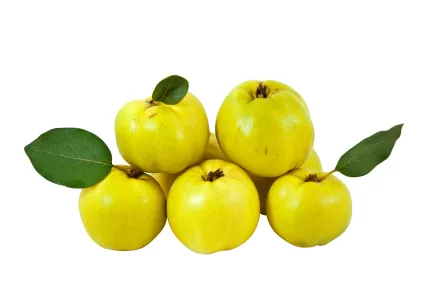 quince_iStock_000010884620XSmall