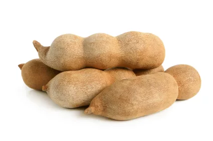tamarind_iStock_000021000238XSmall